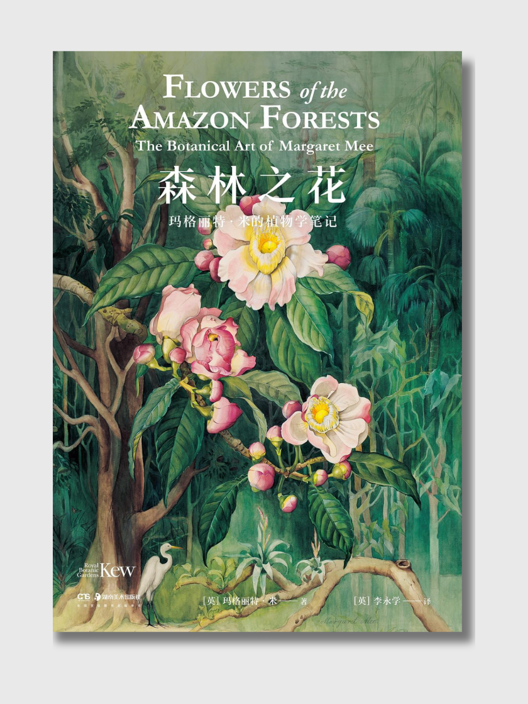 森林之花