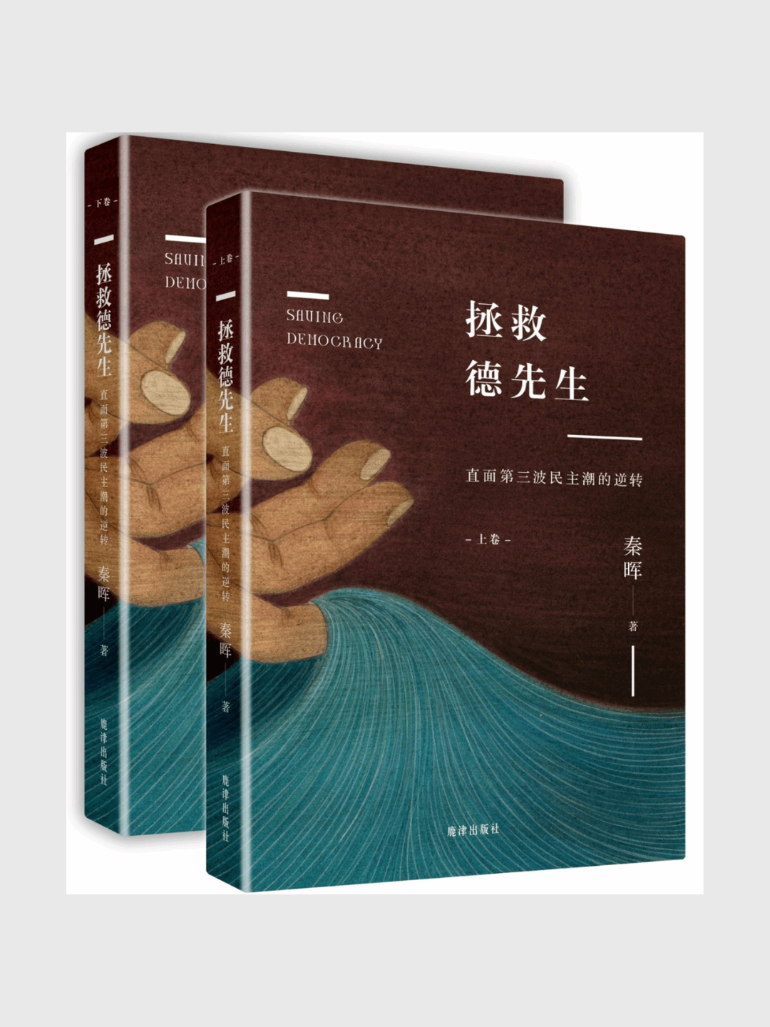 拯救德先生:直面第三波民主潮的逆轉(上下兩卷)