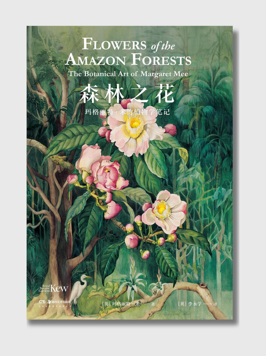 森林之花