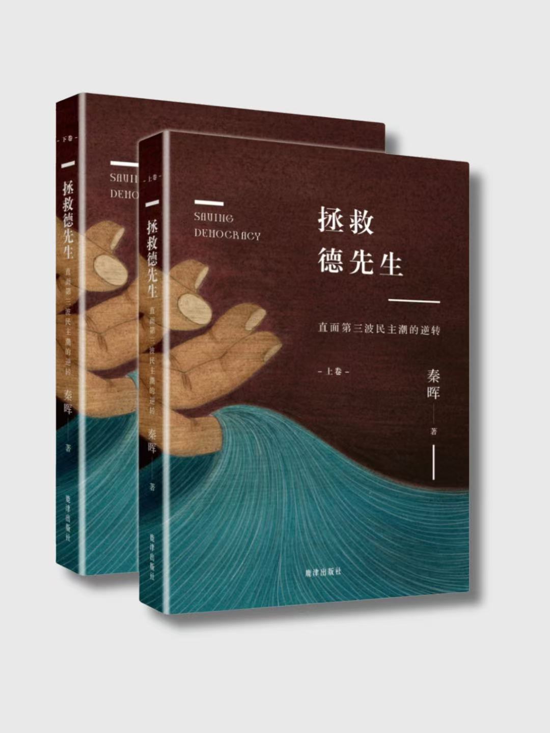 拯救德先生：直面第三波民主潮的逆轉(上下兩卷)